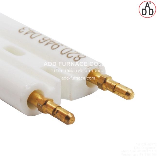 Riello Electrode 3007617(3)
